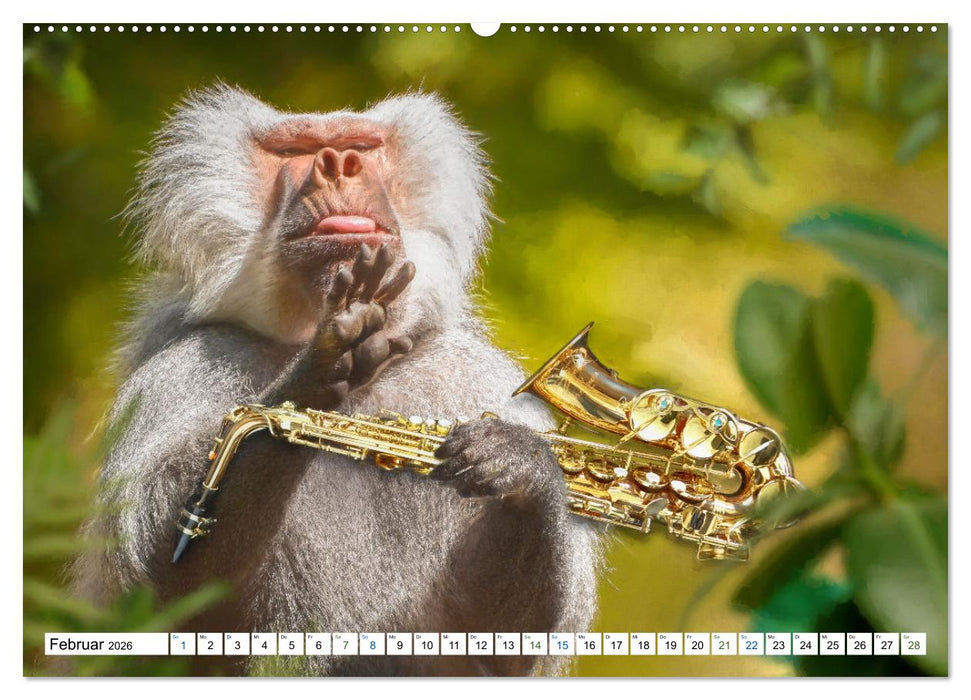 Humor im Dschungel (CALVENDO Wandkalender 2026)