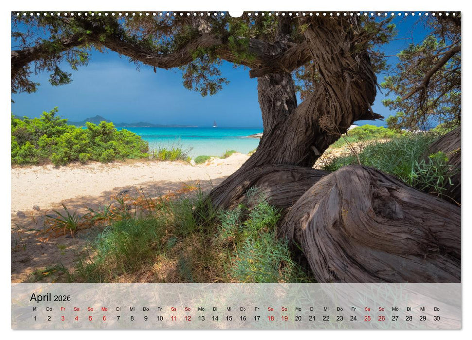 Wunderbares Sardinien (CALVENDO Wandkalender 2026)
