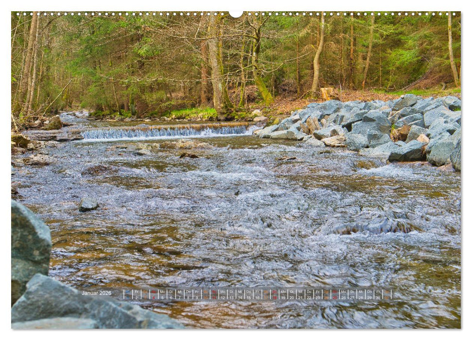 Faszination Thüringer Wald (CALVENDO Premium Wandkalender 2026)