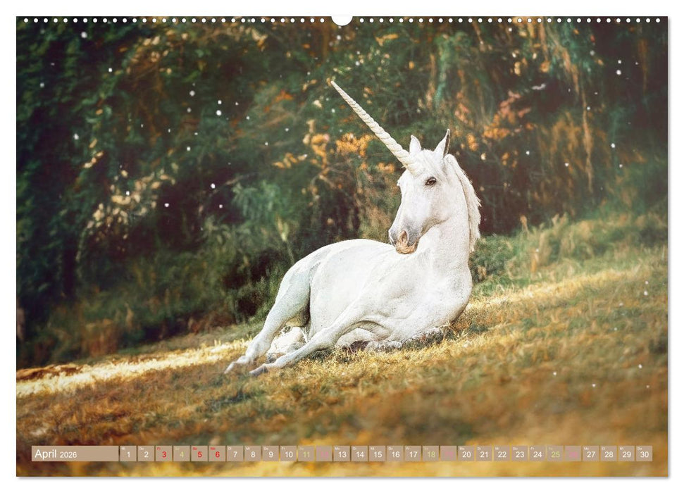 Einhorn Zauber - anmutige Einhornbilder (CALVENDO Premium Wandkalender 2026)