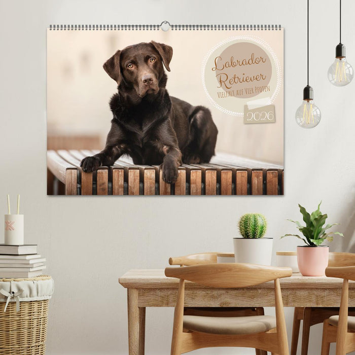 Labrador Retriever - Vielfalt auf Vier Pfoten (CALVENDO Wandkalender 2026)