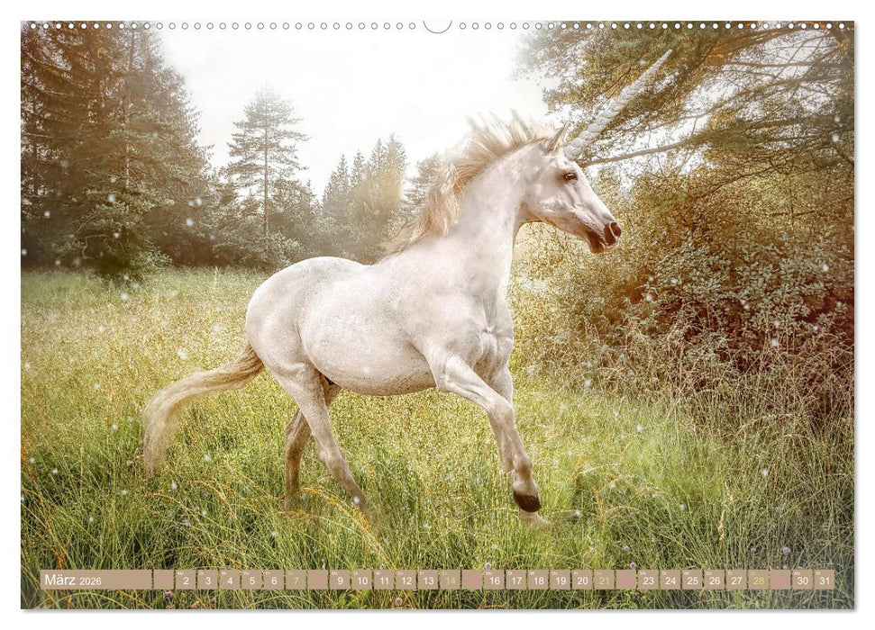 Einhorn Zauber - anmutige Einhornbilder (CALVENDO Wandkalender 2026)