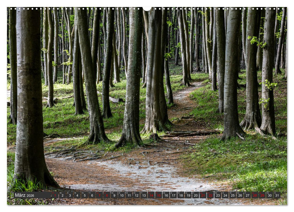 Rügen - Inseltraumblicke (CALVENDO Premium Wandkalender 2026)