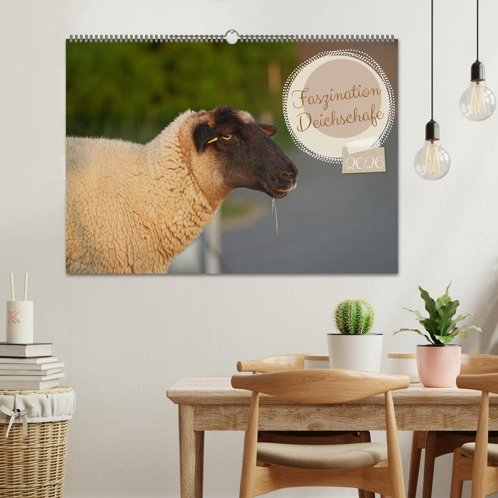 Faszination Deichschafe (CALVENDO Wandkalender 2026)