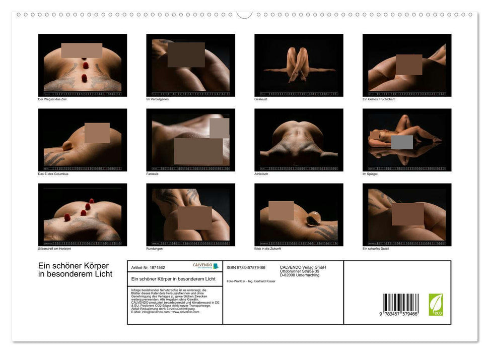Ein schöner Körper in besonderem Licht (CALVENDO Premium Wandkalender 2026)