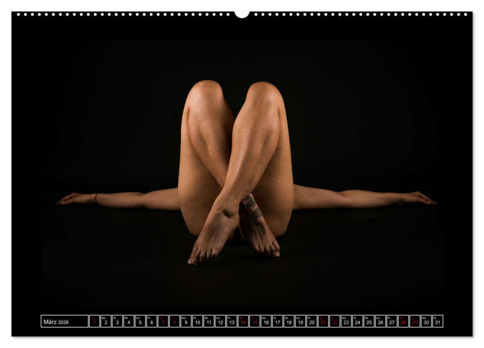 Ein schöner Körper in besonderem Licht (CALVENDO Premium Wandkalender 2026)