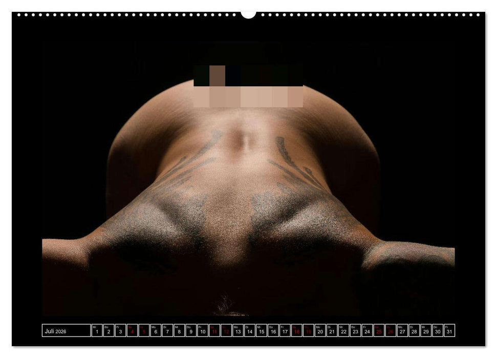 Ein schöner Körper in besonderem Licht (CALVENDO Premium Wandkalender 2026)
