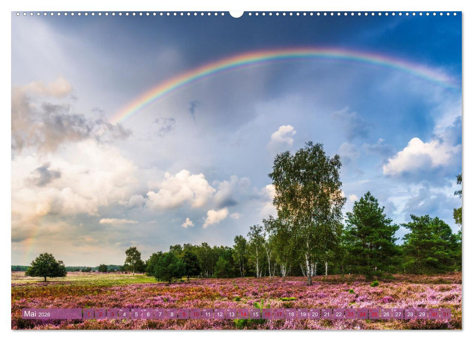 Romantische Heideblüte (CALVENDO Wandkalender 2026)