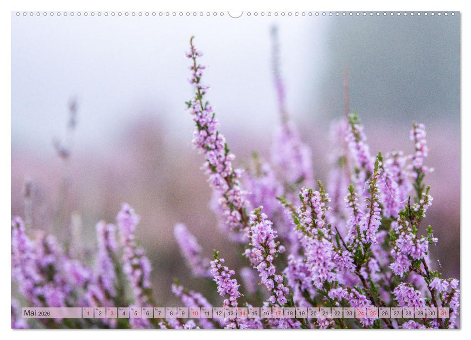 Wunderbare Heidelandschaften (CALVENDO Premium Wandkalender 2026)