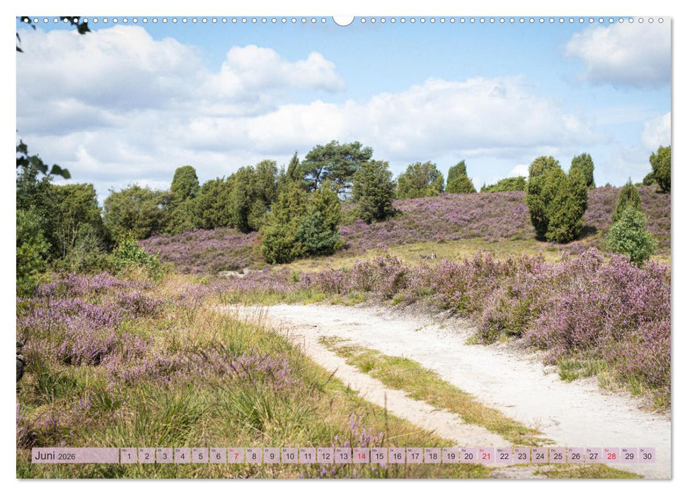 Wunderbare Heidelandschaften (CALVENDO Premium Wandkalender 2026)