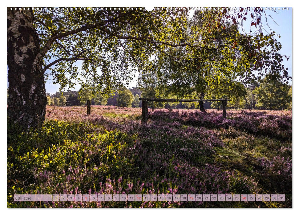 Wunderbare Heidelandschaften (CALVENDO Premium Wandkalender 2026)