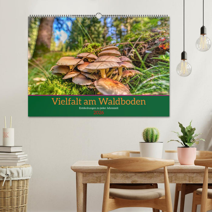 Vielfalt am Waldboden (CALVENDO Wandkalender 2026)