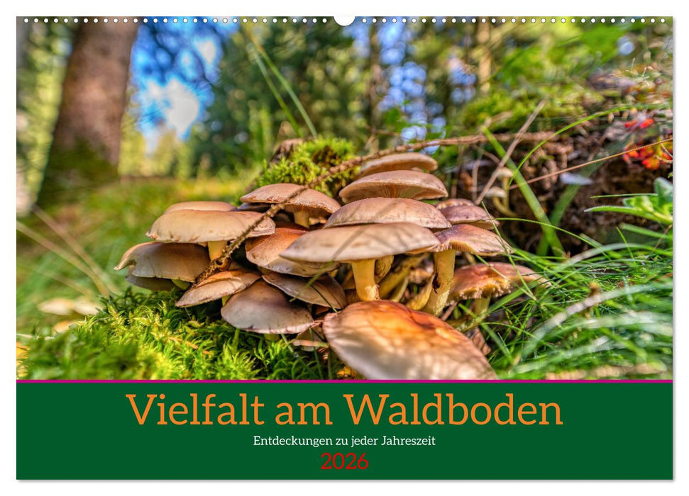 Vielfalt am Waldboden (CALVENDO Wandkalender 2026)