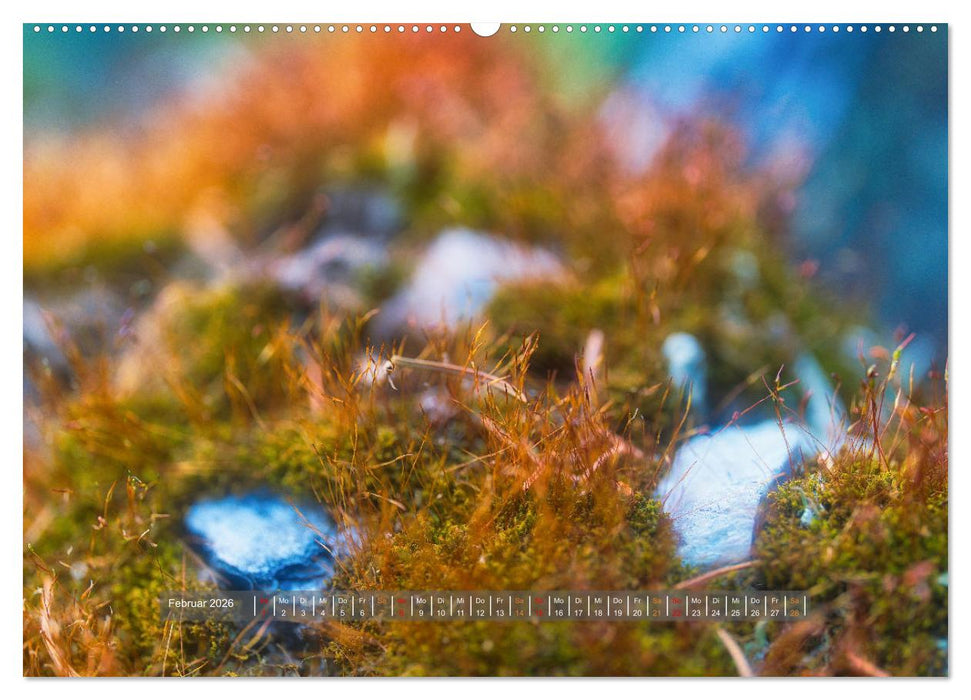 Vielfalt am Waldboden (CALVENDO Wandkalender 2026)