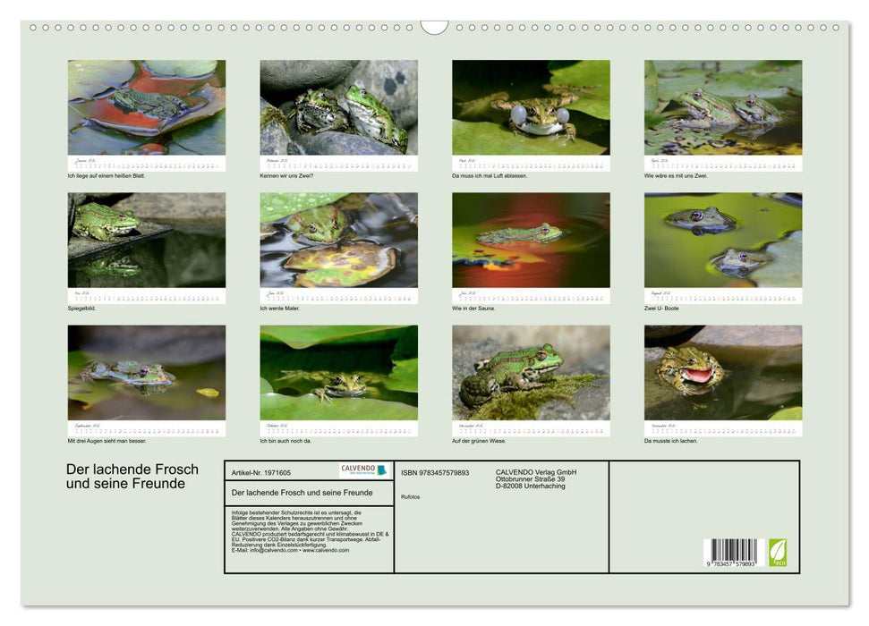 Der lachende Frosch und seine Freunde (CALVENDO Wandkalender 2026)