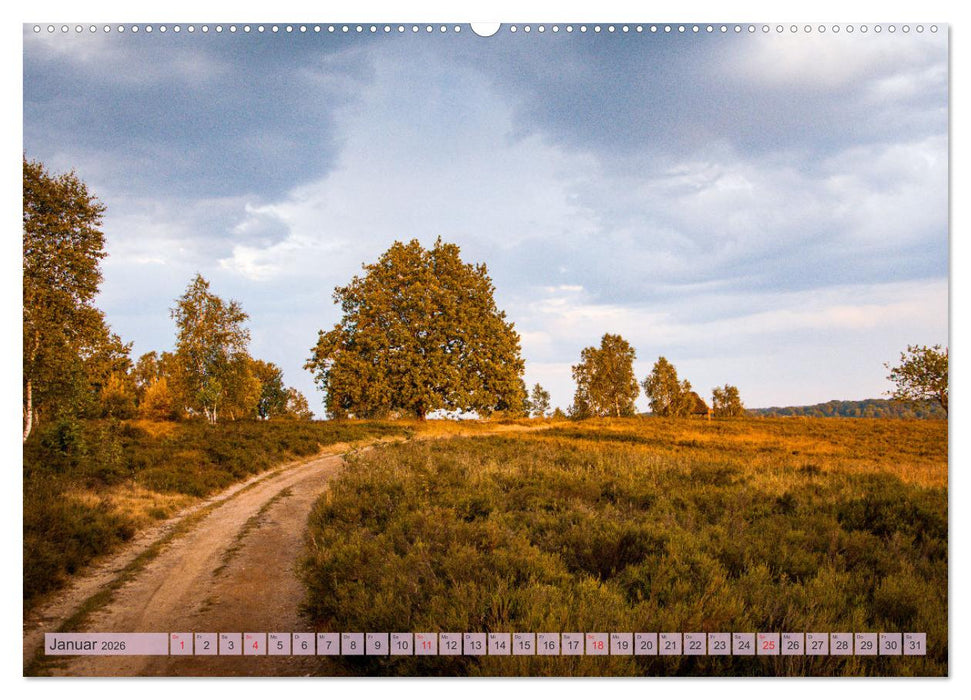 Wunderbare Heidelandschaften (CALVENDO Wandkalender 2026)