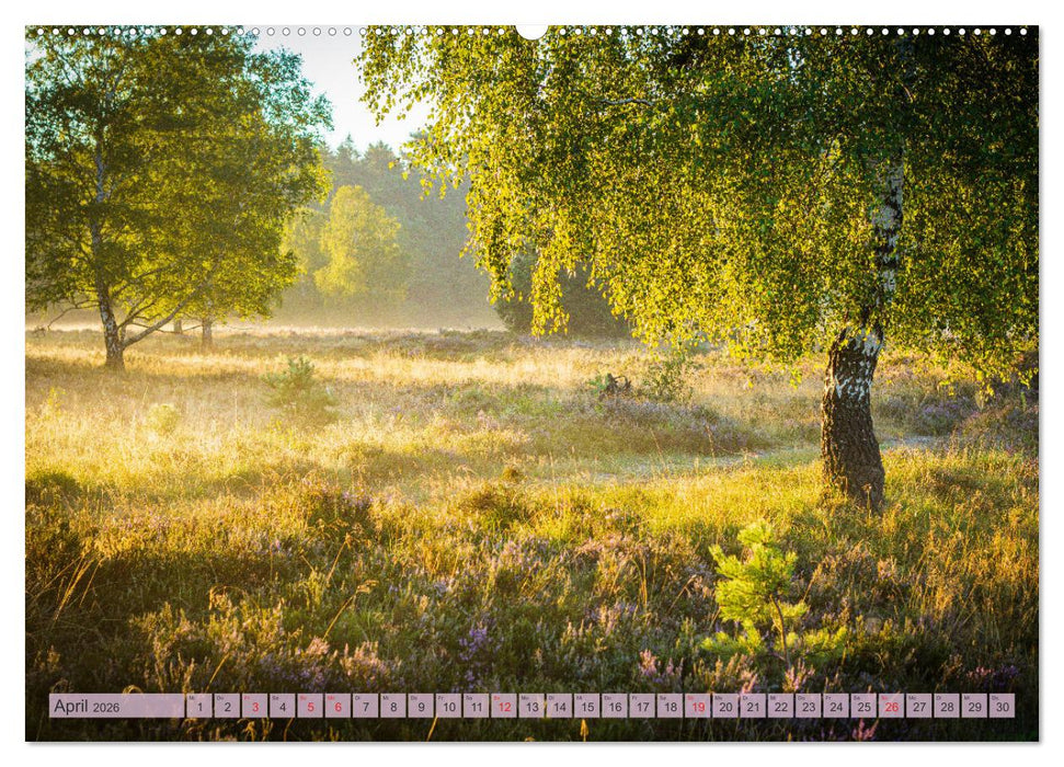 Wunderbare Heidelandschaften (CALVENDO Wandkalender 2026)