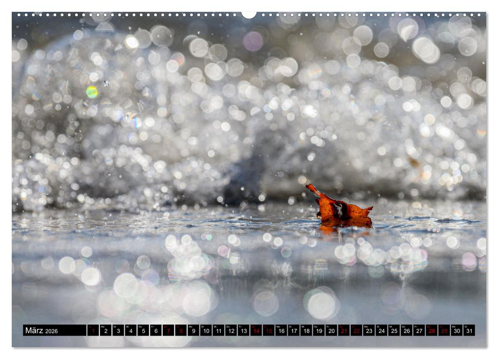 Strandobjekte (CALVENDO Wandkalender 2026)