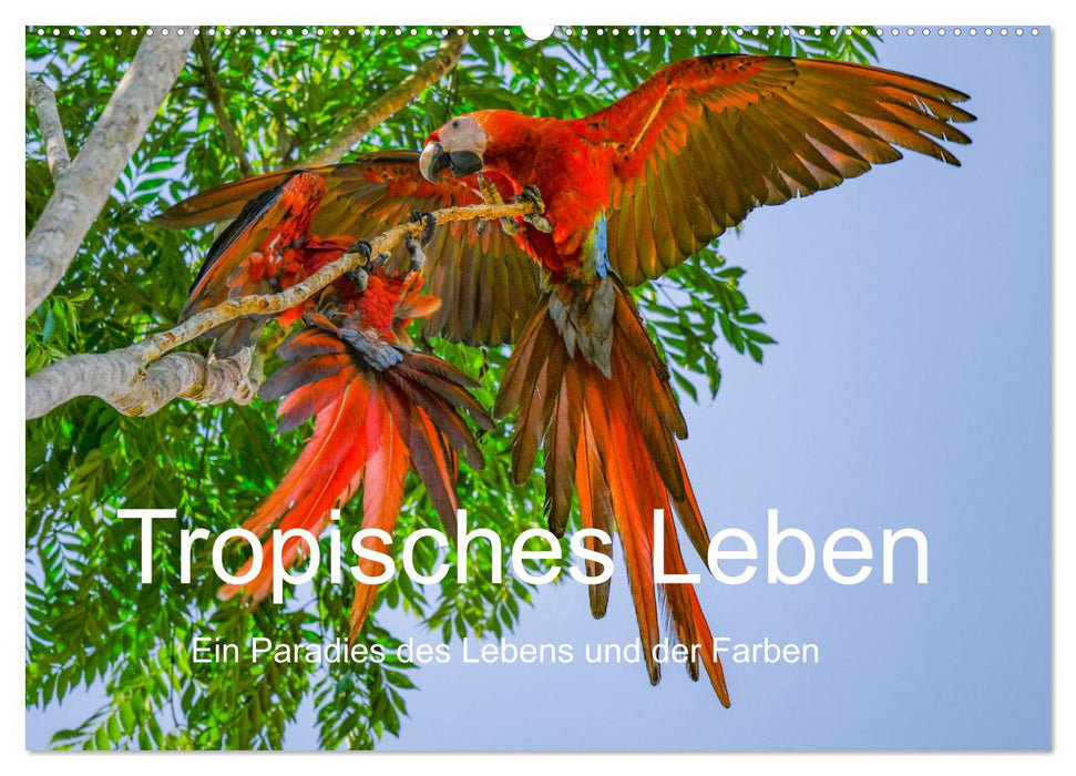 Tropisches Leben Ein Paradies des Lebens und der Farben (CALVENDO Wandkalender 2026)