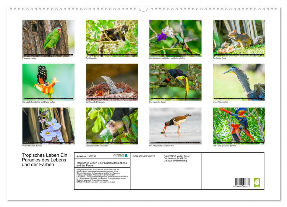 Tropisches Leben Ein Paradies des Lebens und der Farben (CALVENDO Wandkalender 2026)