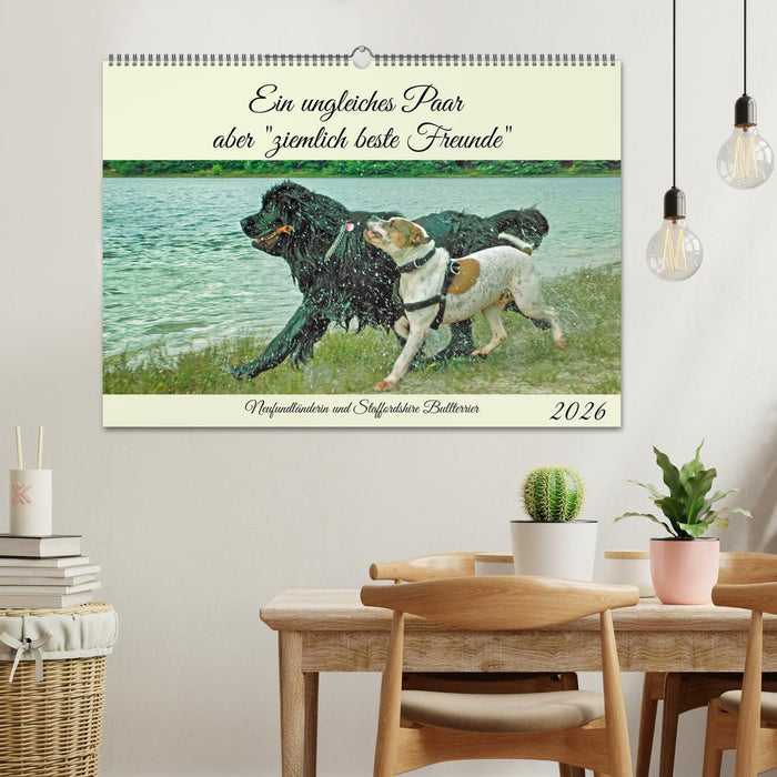 Ein ungleiches Paar aber "ziemlich beste Freunde" (CALVENDO Wandkalender 2026)