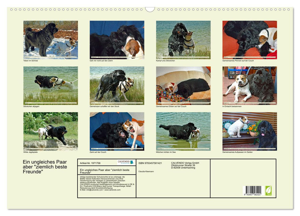Ein ungleiches Paar aber "ziemlich beste Freunde" (CALVENDO Wandkalender 2026)