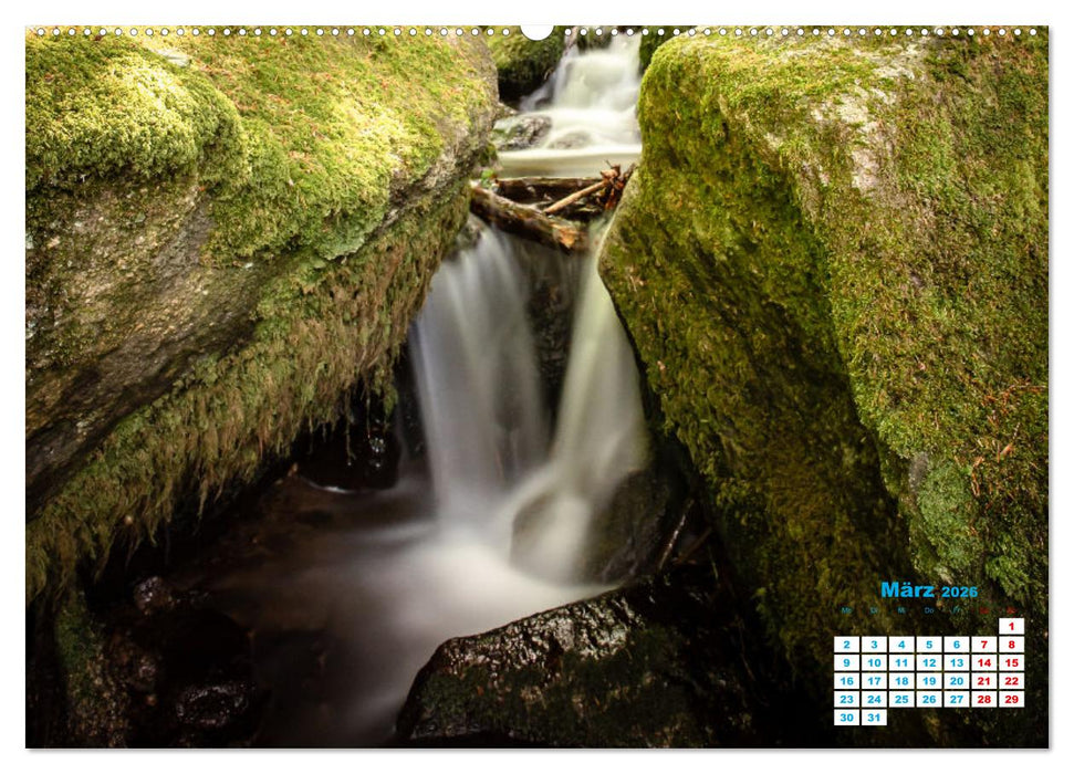Wasserfall im Bühlertal (CALVENDO Wandkalender 2026)