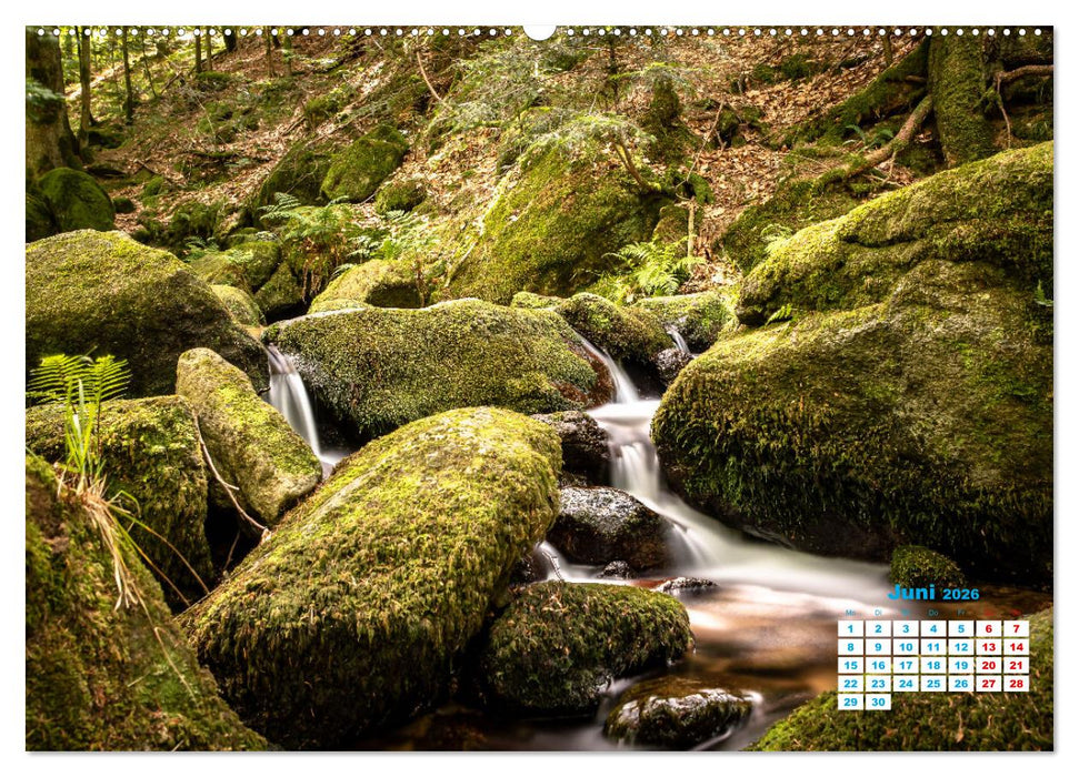 Wasserfall im Bühlertal (CALVENDO Wandkalender 2026)