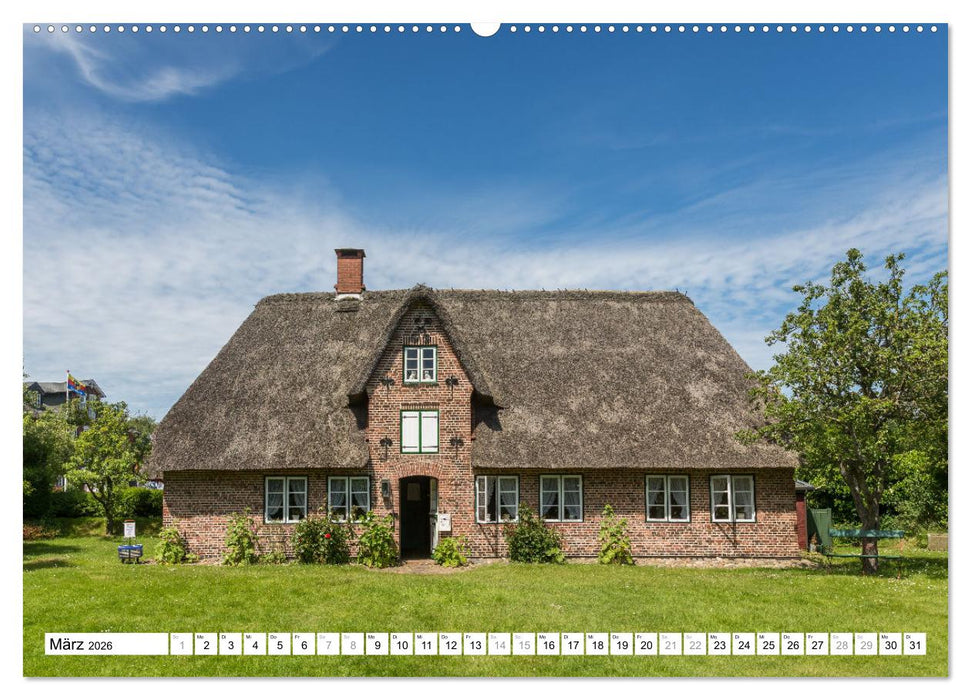 Amrum - Perle im nordfriesischen Wattenmeer (CALVENDO Wandkalender 2026)