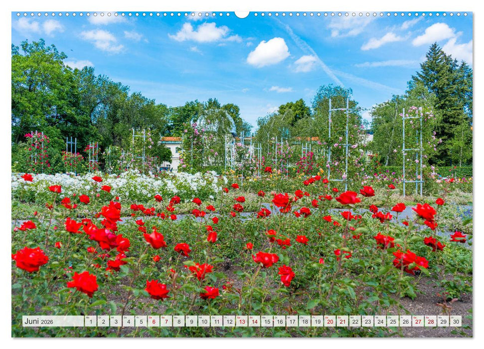 Historisches Prag (CALVENDO Wandkalender 2026)