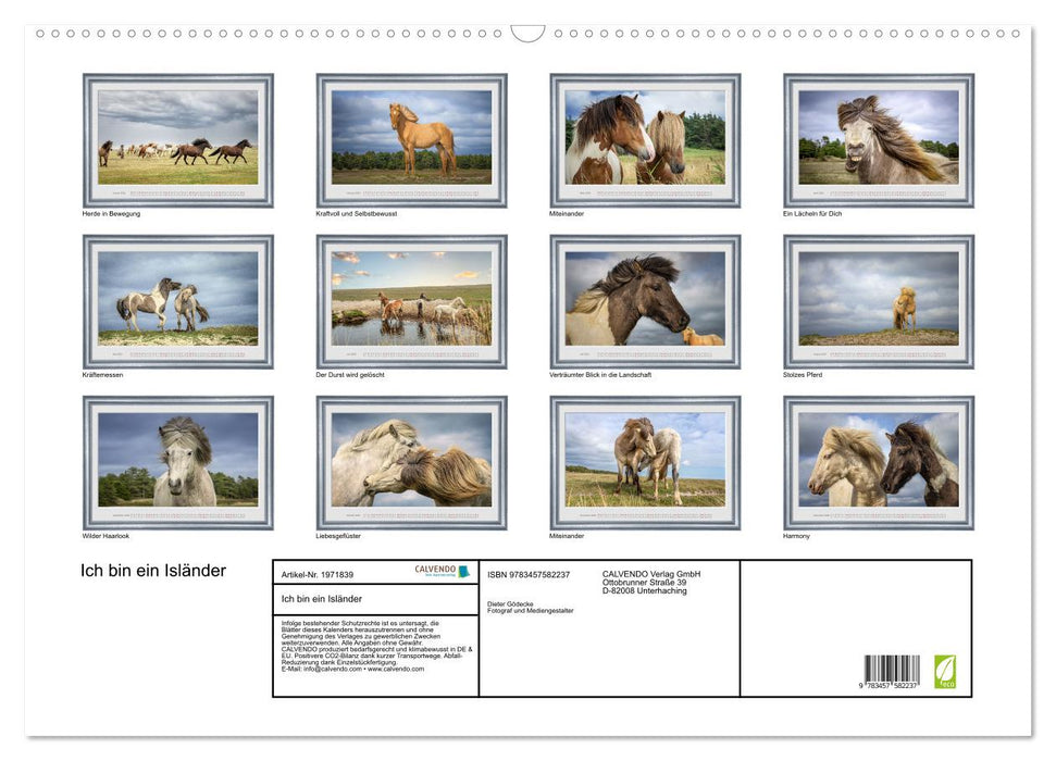 Ich bin ein Isländer (CALVENDO Wandkalender 2026)