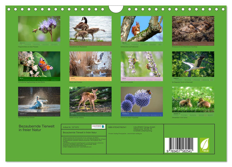 Bezaubernde Tierwelt in freier Natur (CALVENDO Wandkalender 2026)