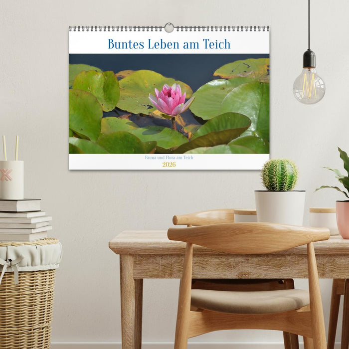 Buntes Leben am Teich (CALVENDO Wandkalender 2026)