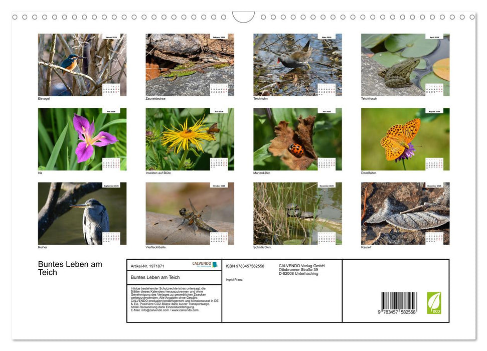 Buntes Leben am Teich (CALVENDO Wandkalender 2026)