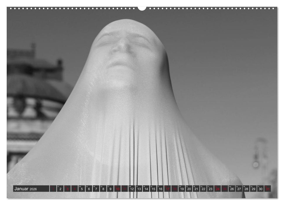 Emotionen im Tanz (CALVENDO Wandkalender 2026)