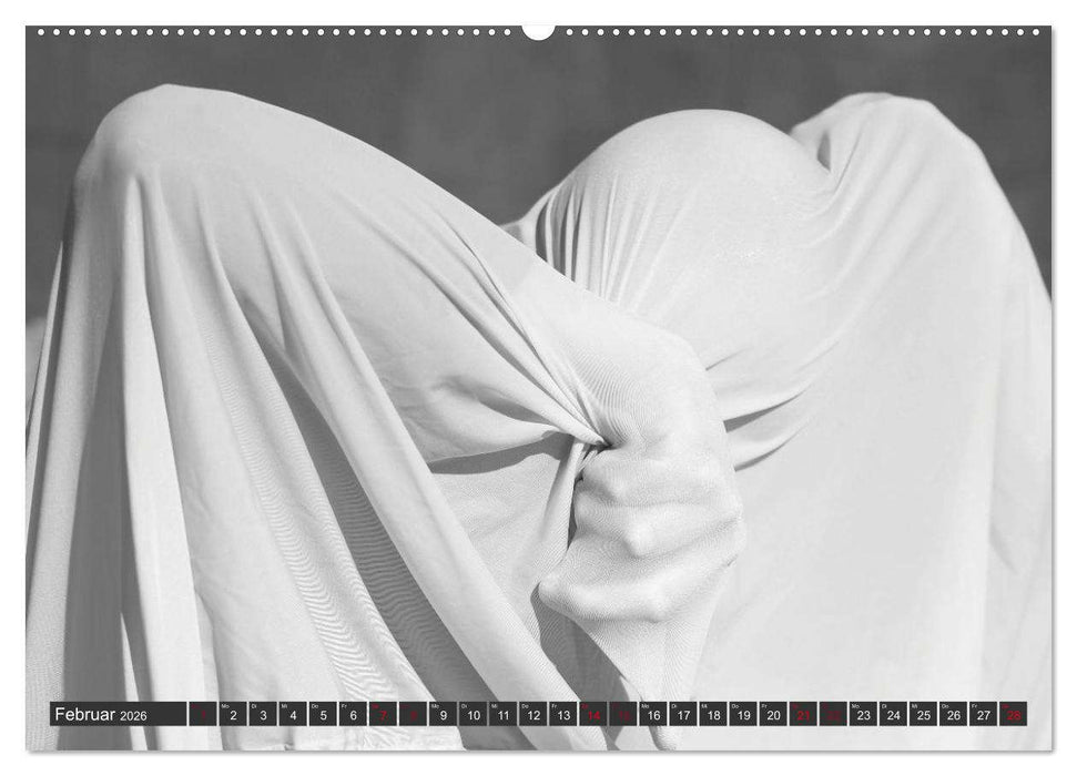 Emotionen im Tanz (CALVENDO Wandkalender 2026)