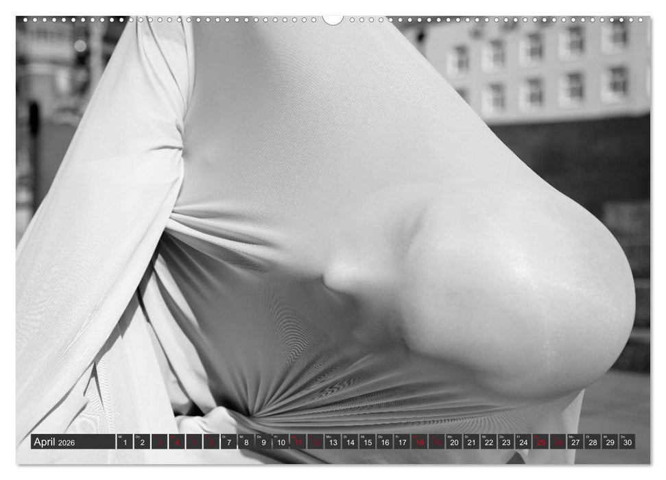 Emotionen im Tanz (CALVENDO Wandkalender 2026)