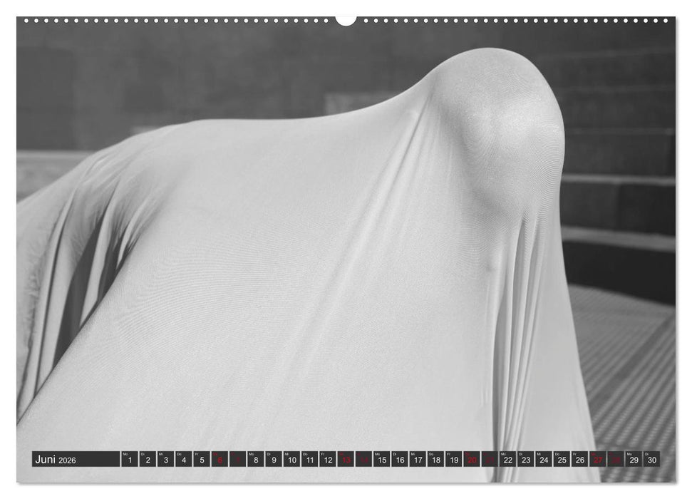 Emotionen im Tanz (CALVENDO Wandkalender 2026)