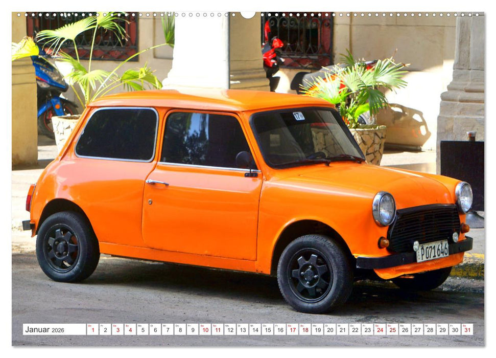 British Beauties - Der MINI 1000 in Kuba (CALVENDO Wandkalender 2026)