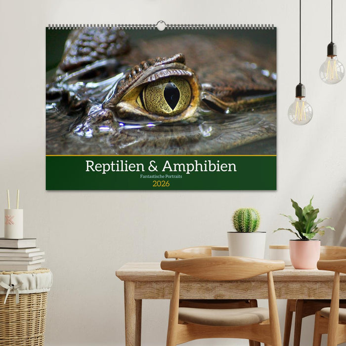 Reptilien & Amphibien Portraits (CALVENDO Wandkalender 2026)