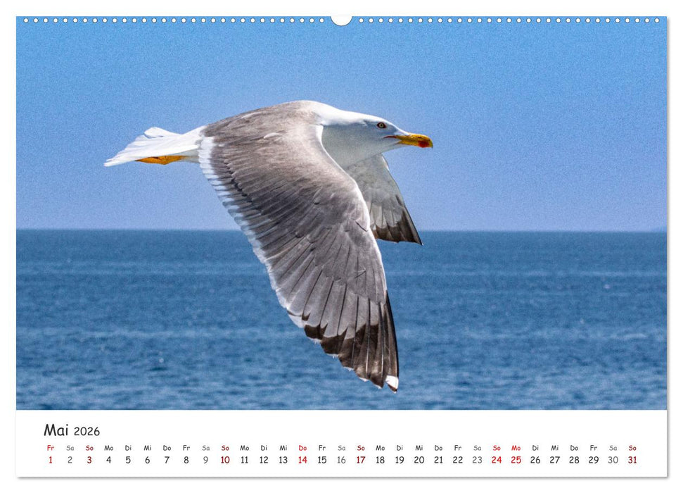 Ouranopoli - An der Grenze zur Mönchsrepublik Athos (CALVENDO Wandkalender 2026)