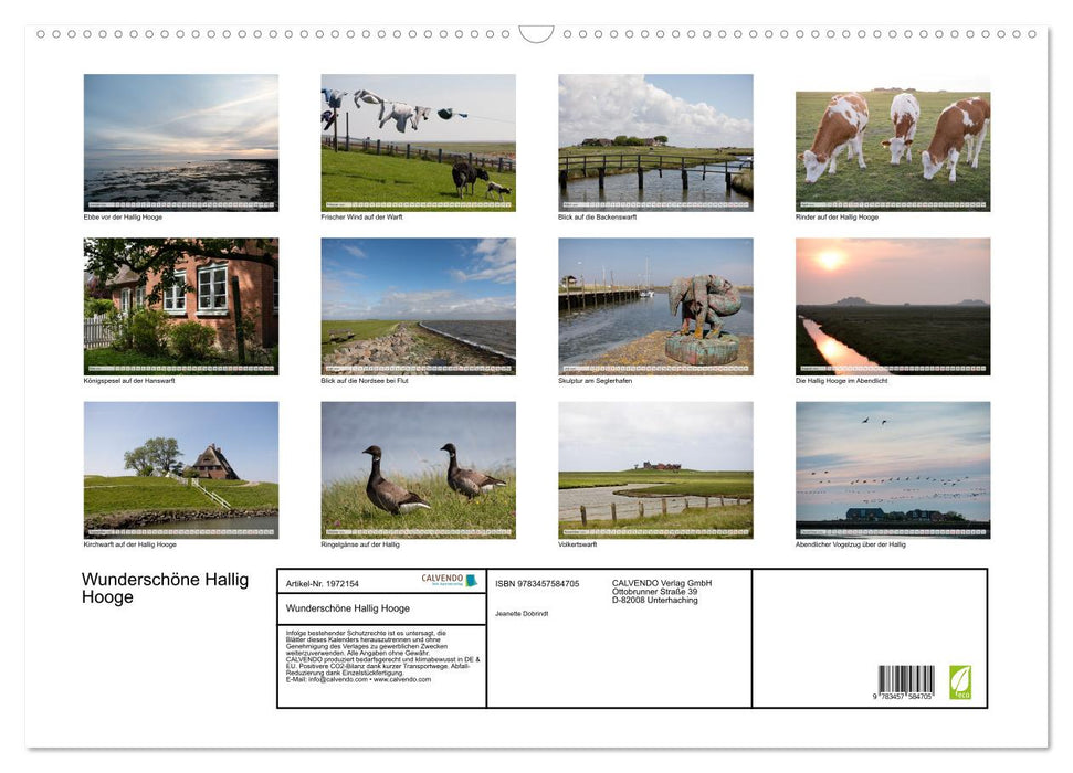 Wunderschöne Hallig Hooge (CALVENDO Wandkalender 2026)