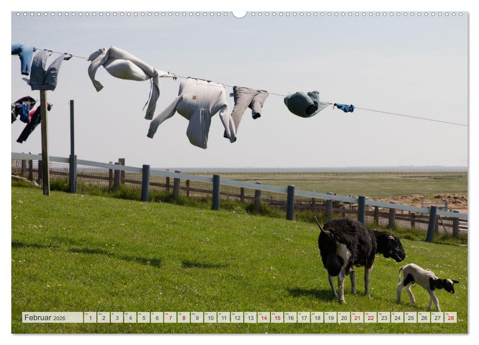 Wunderschöne Hallig Hooge (CALVENDO Wandkalender 2026)