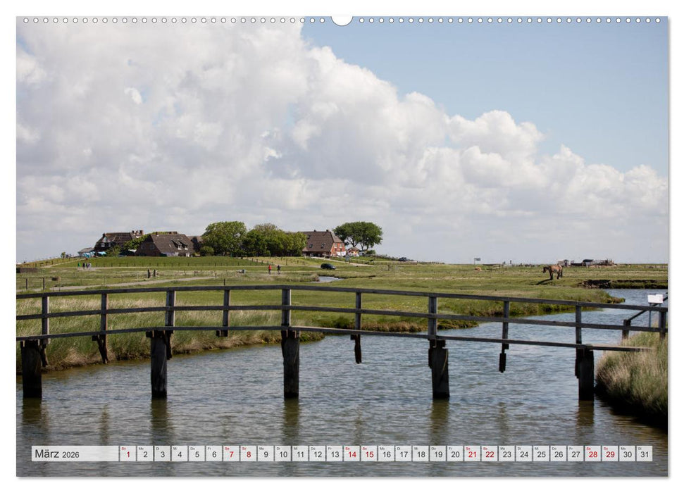 Wunderschöne Hallig Hooge (CALVENDO Wandkalender 2026)