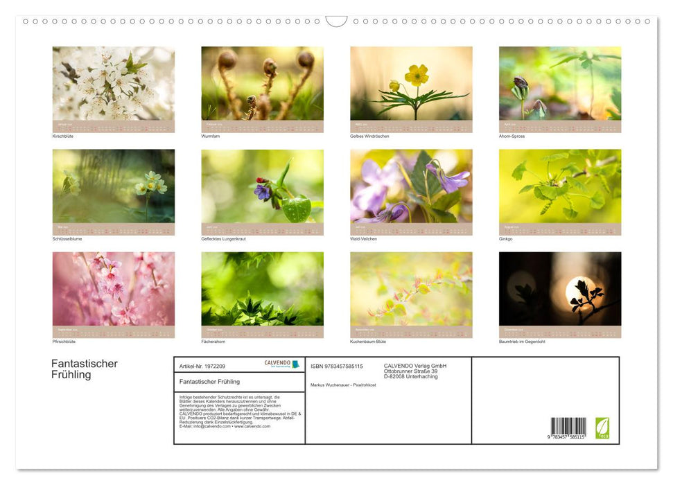 Fantastischer Frühling (CALVENDO Wandkalender 2026)