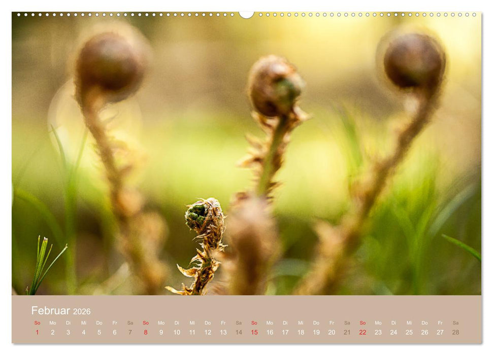 Fantastischer Frühling (CALVENDO Wandkalender 2026)