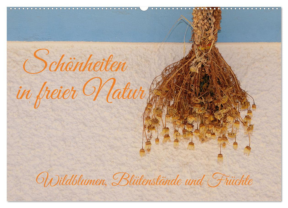 Schönheiten in freier Natur (CALVENDO Wandkalender 2026)