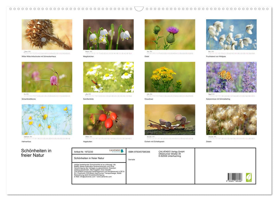 Schönheiten in freier Natur (CALVENDO Wandkalender 2026)
