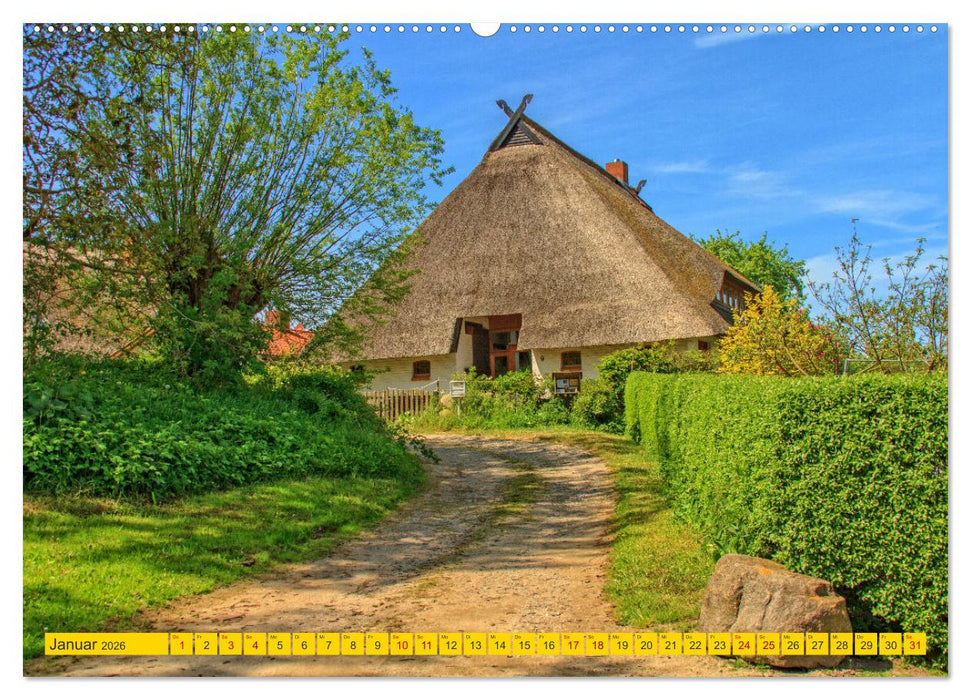 Reetdachhäuser in Hoben - Ein Maitag in der Wismarbucht (CALVENDO Premium Wandkalender 2026)