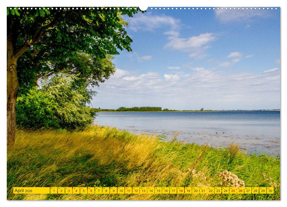 Reetdachhäuser in Hoben - Ein Maitag in der Wismarbucht (CALVENDO Premium Wandkalender 2026)
